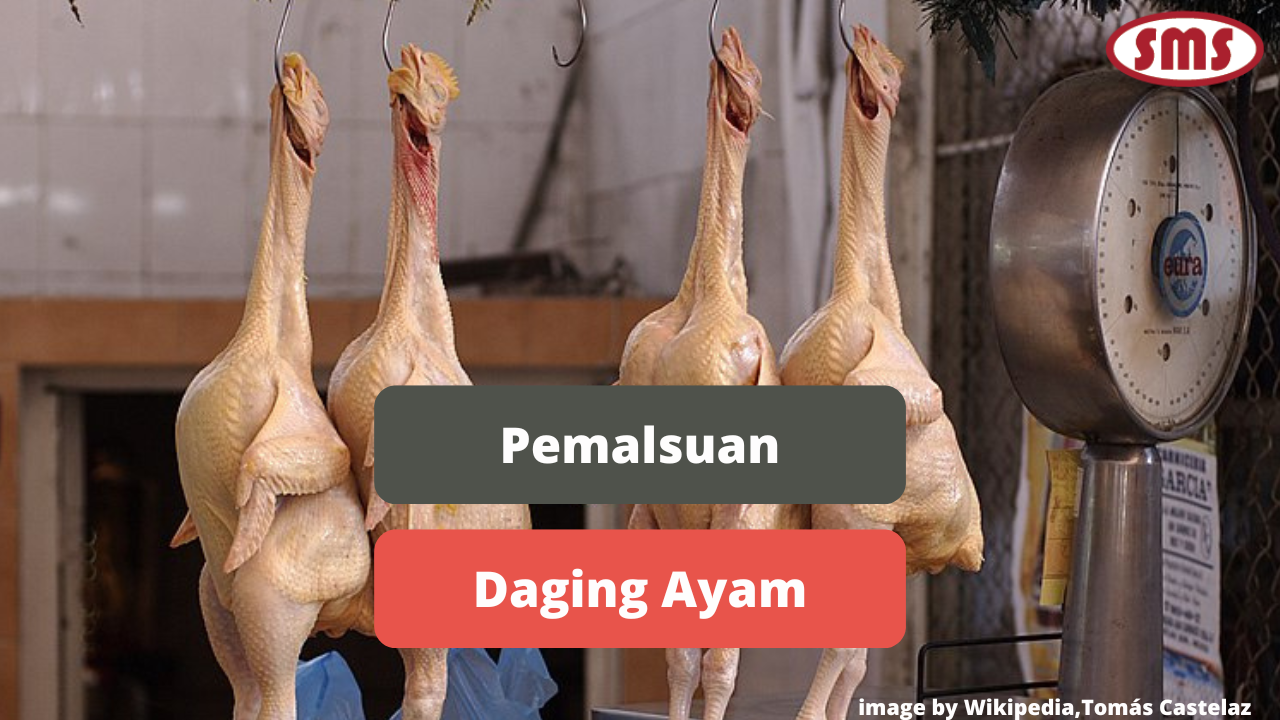 Ketahui Contoh Pemalsuan Daging Ayam